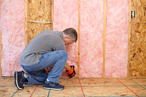 Best Types of Insulation in Sussex, WI